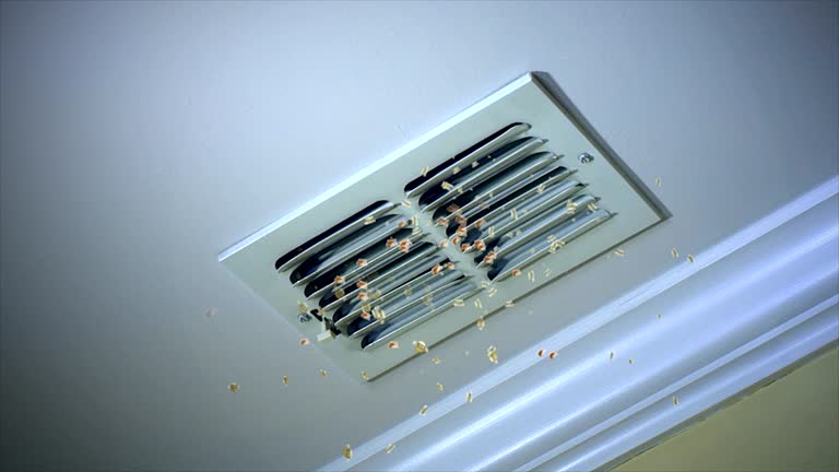 Ventilation Cleaning Services in Harlem, GA