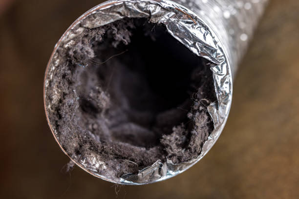 Best Home Air Vent Cleaning  in Harlem, GA