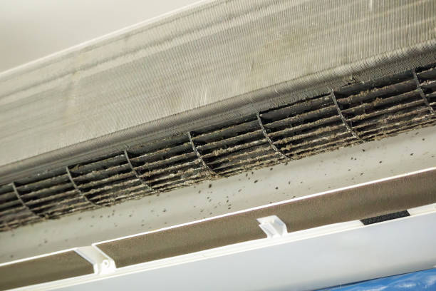 Best Best Air Duct Cleaning Company  in Harlem, GA
